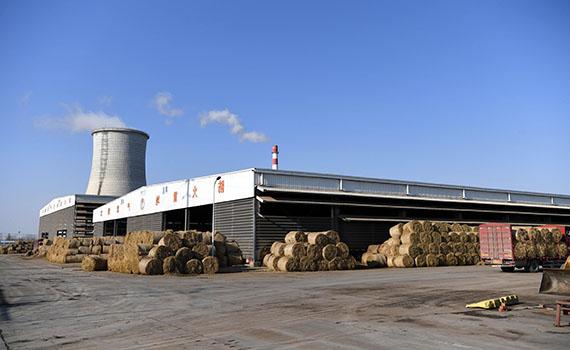 呂梁突泉縣：秸稈循環(huán)利用，綠色生態(tài)新篇章