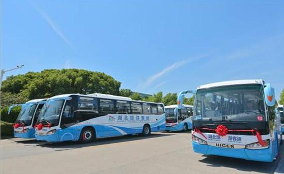 南京首批50輛蘇州金龍純電大巴交付！湖北武漢通勤客運綠色發展提質升級