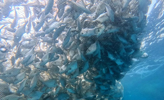 明陽集團.jpg 明陽集團.jpg