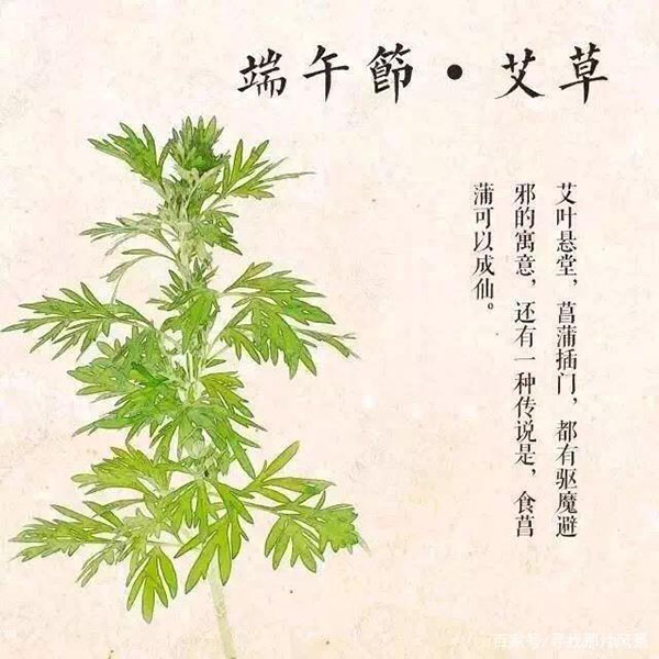 端午到,恭祝大家端午安康!