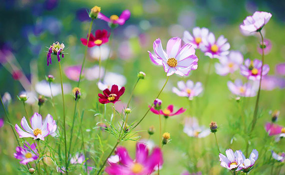 勞動(dòng)節(jié)致敬最可愛的人!