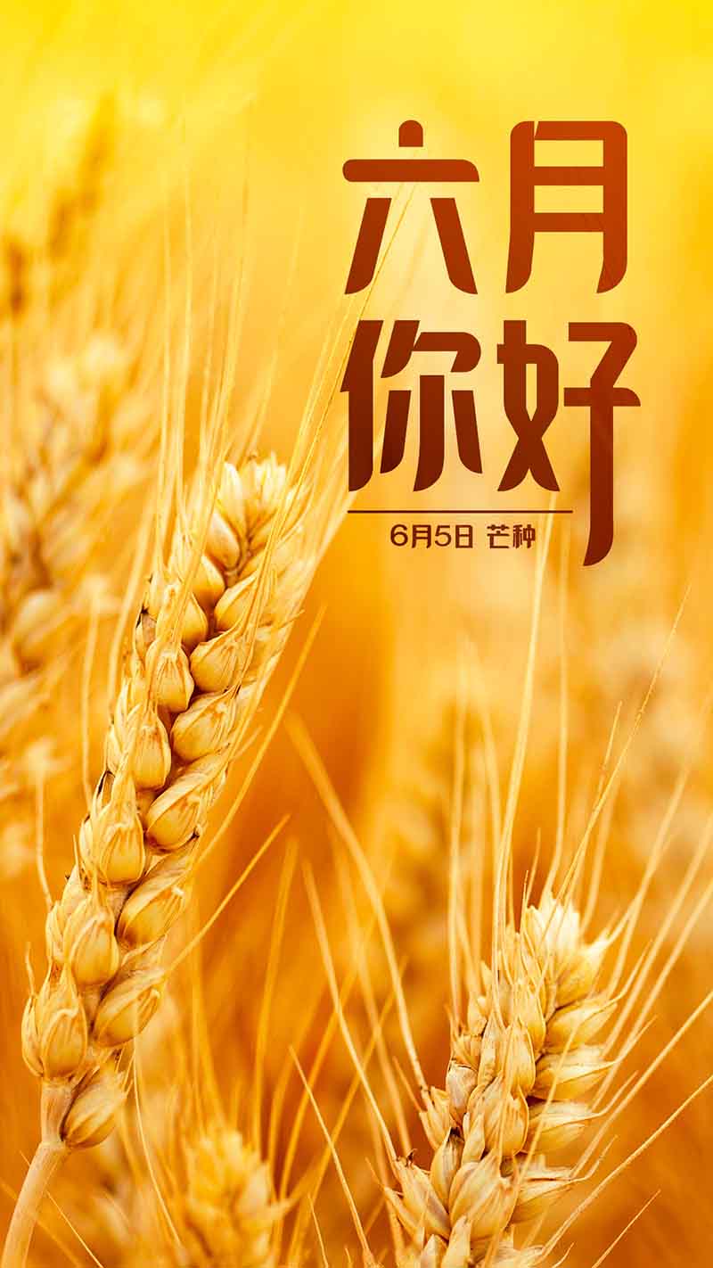 六月正當萬物崢嶸,揮灑汗水砥礪前行