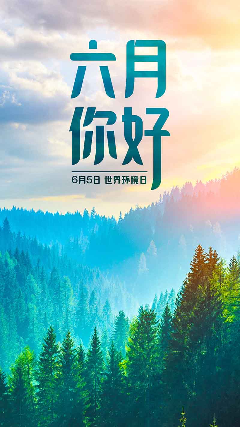 六月正當萬物崢嶸,揮灑汗水砥礪前行