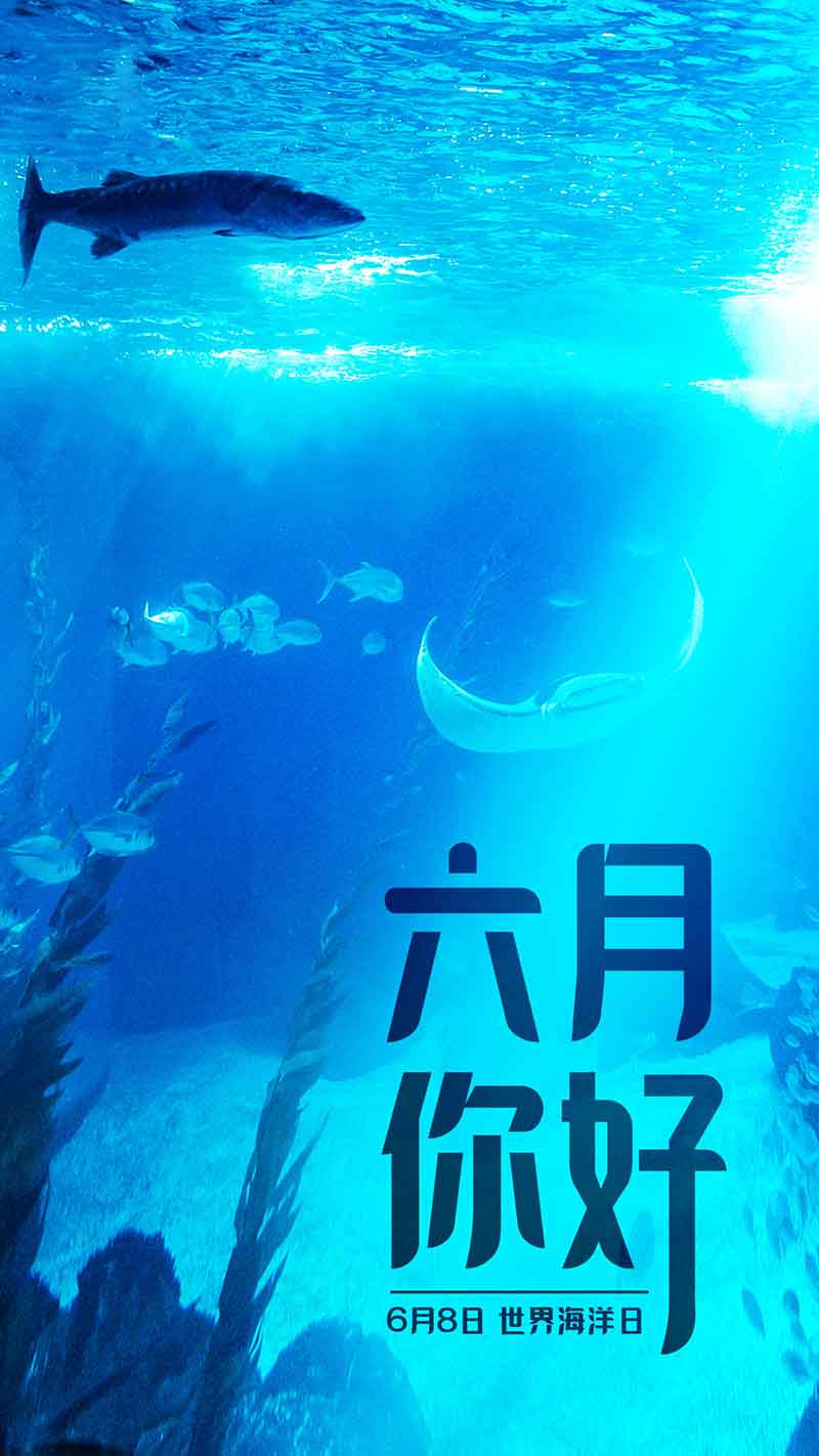 六月正當萬物崢嶸,揮灑汗水砥礪前行