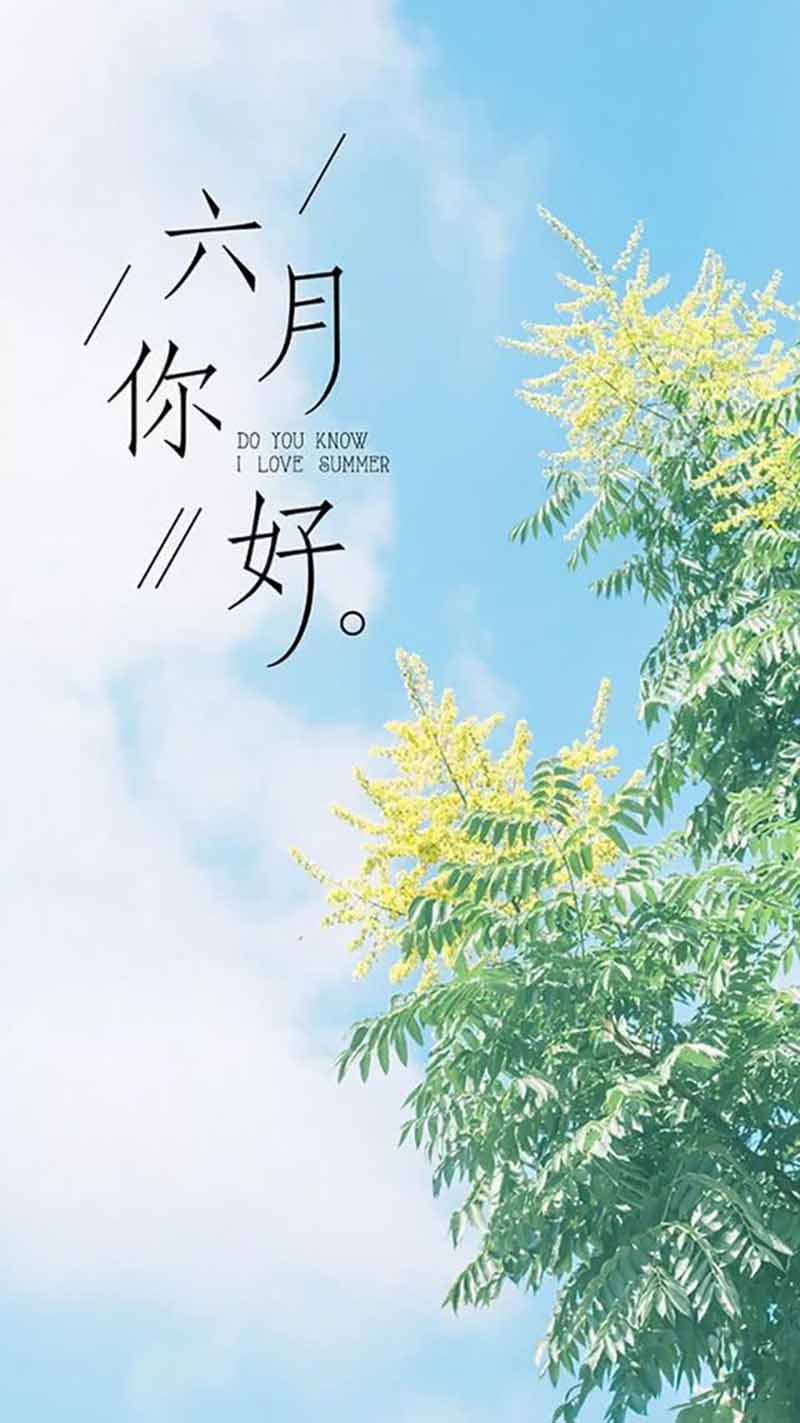 六月正當萬物崢嶸,揮灑汗水砥礪前行